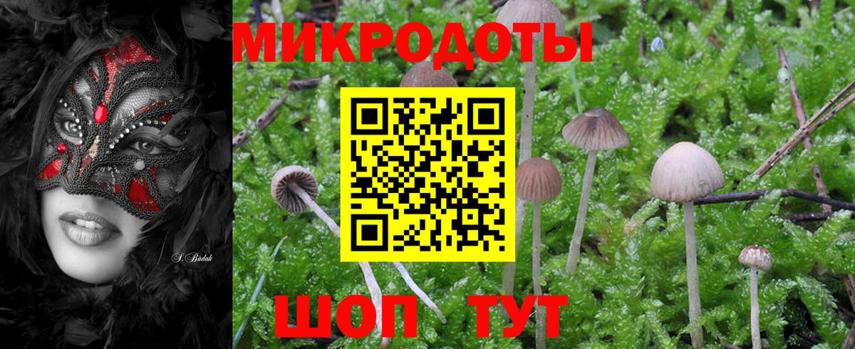 Псилоцибиновые грибы GOLDEN TEACHER  Вход с VPN  Карасук 