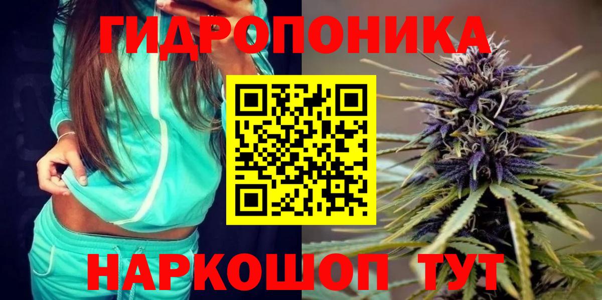 Канабис сатива  МАРИХУАНА OG Kush  Вход с VPN  Марихуана индика  Карасук 